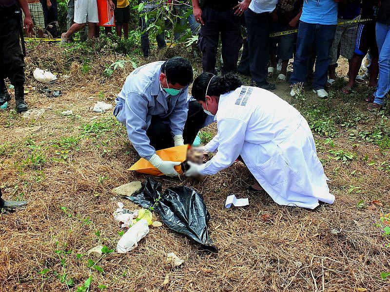 Arequipa: Macabro hallazgo en chacra 