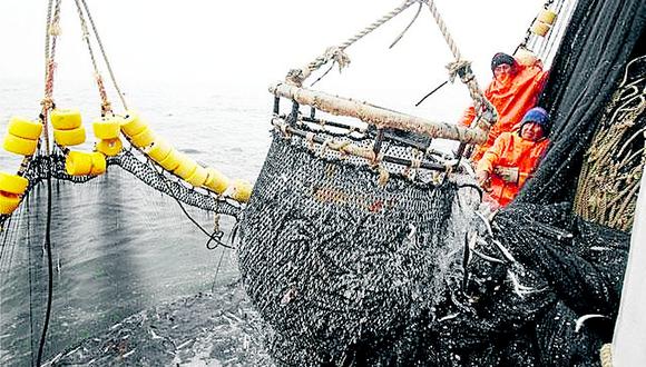 Pesca de anchoveta registra 94% de avance y estiman que en 15 días culmine temporada