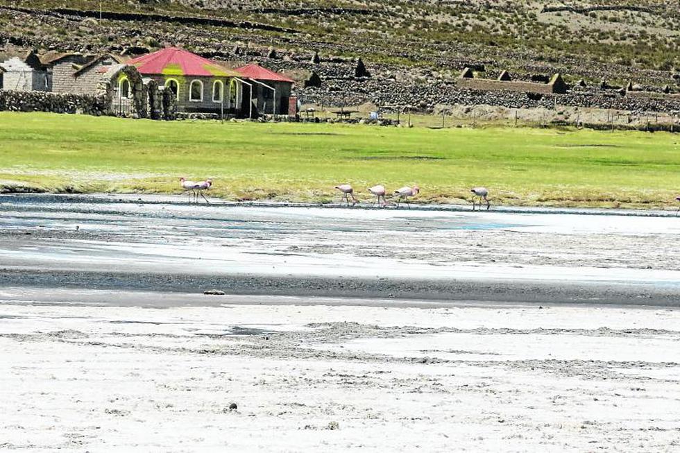 Bolivia: La maravilla del salar de Uyuni (FOTOS)