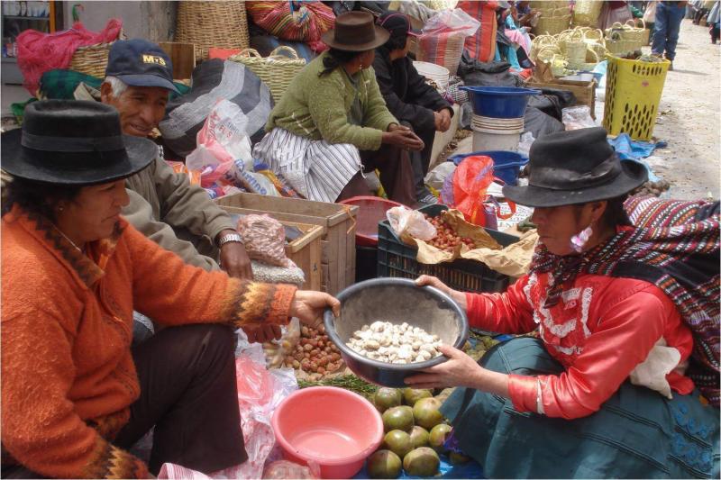 Realizan gran feria del trueque en Acobamba