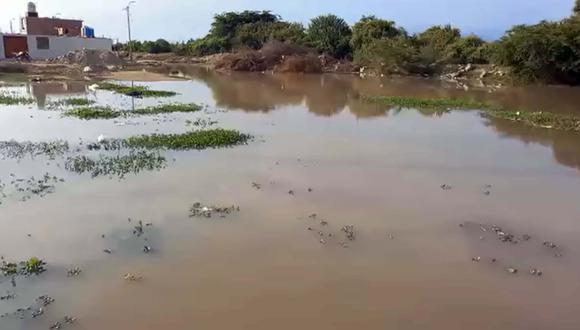 Vecinos de Nueva Melchorita exigen erradicar laguna artificial en Chincha