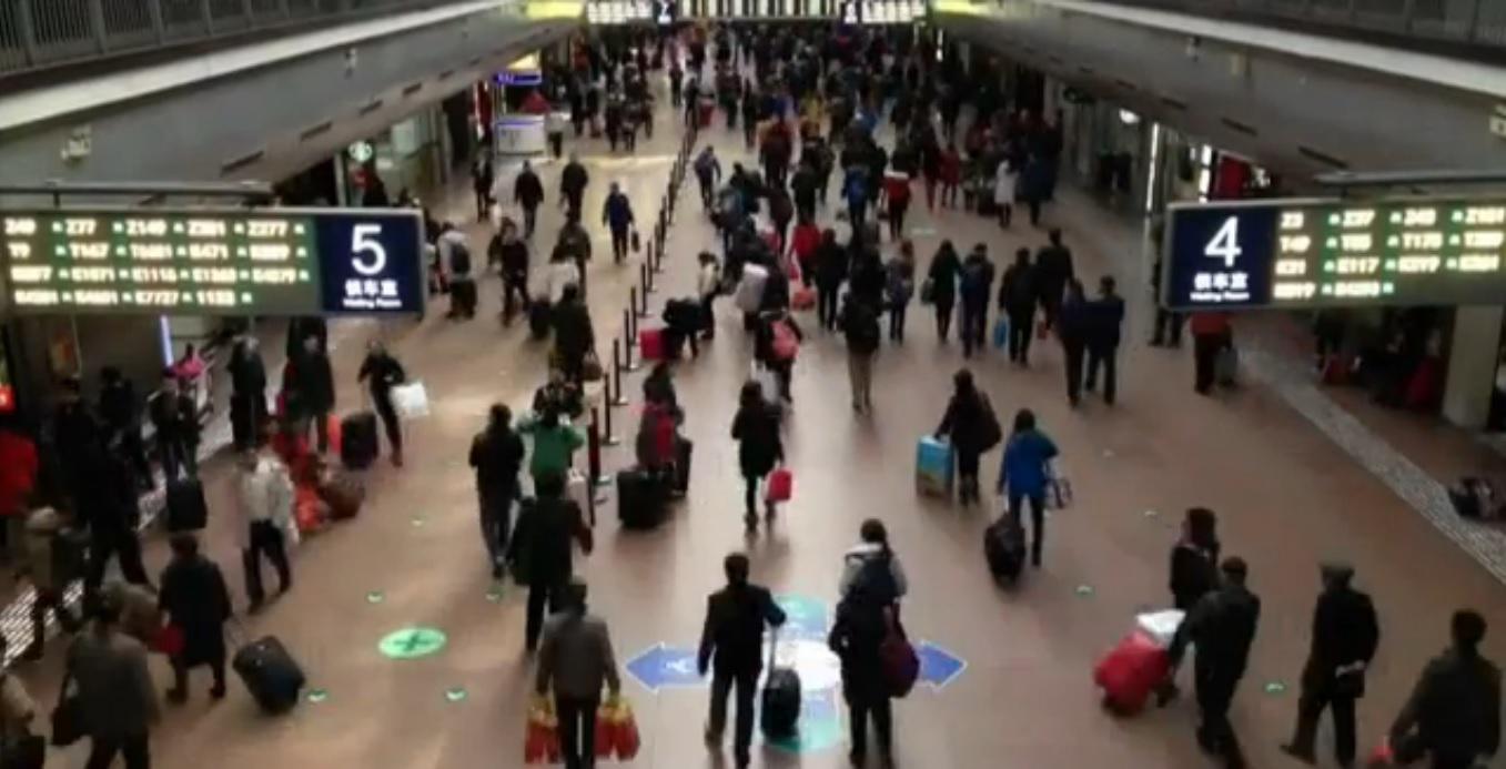 ¿Dónde se registra la mayor migración del mundo? (VIDEO)