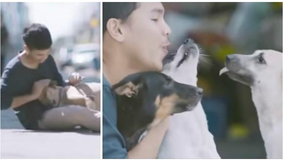YouTube: Joven recorre Tailandia abrazando perros callejeros y ellos reaccionan así [VIDEO]