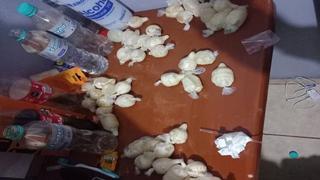 Arequipa: Mujer fallece luego de ingerir 8 bolas de cocaína en Paucarpata