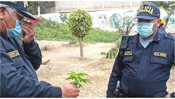 Encuentran machetes, cuchillos y hasta plantones de marihuana en desalojo de extranjeros de parques en Trujillo