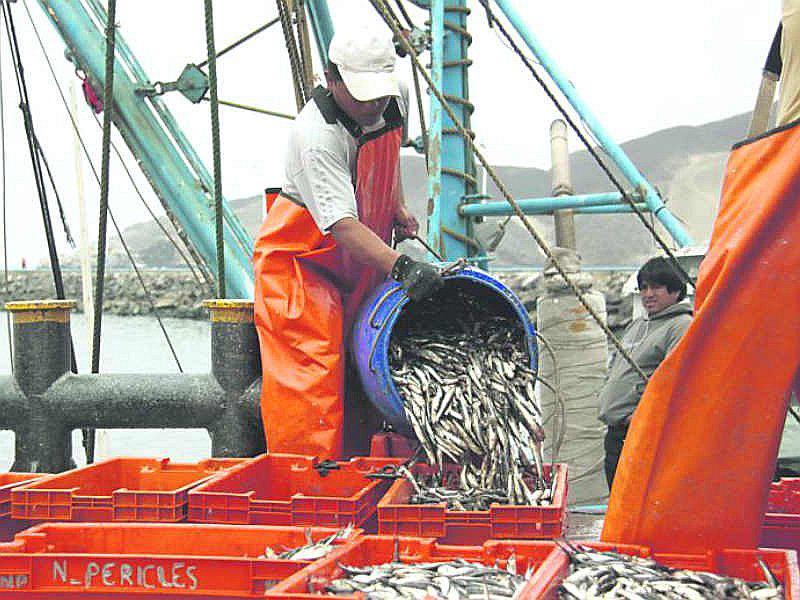 Produce: Seguro para pescadores artesanales llegará al menos a 40 mil