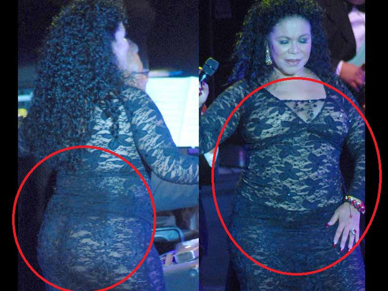 Eva Ayllón mostró más de la cuenta con vestido de transparencia