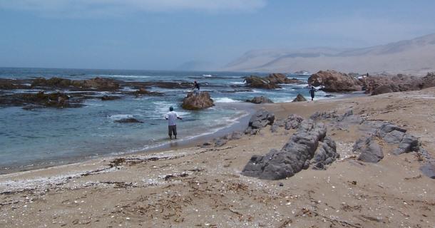 Pescador desaparece en playa de Ocucaje 