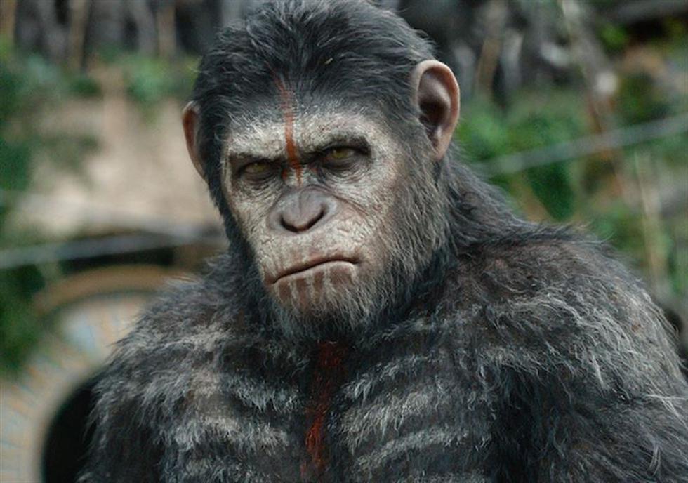 "El Planeta de los Simios: Confrontación": Mira las nuevas fotos de la película