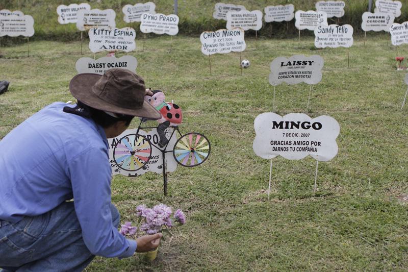 Habilitarán terreno para cementerio de mascotas
