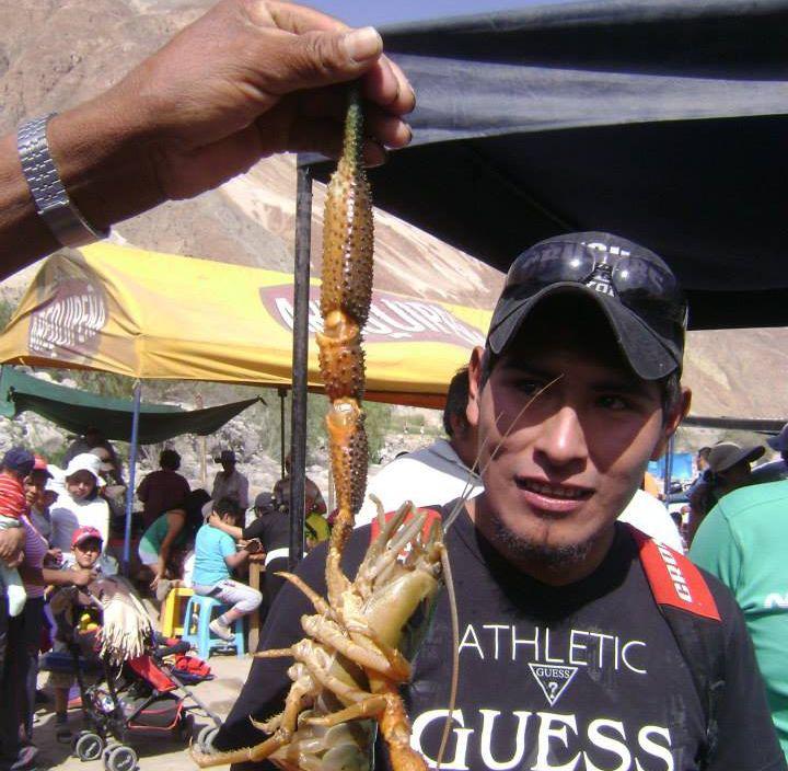 Prohíben extracción de camarón en 5 kilómetros de las desembocaduras