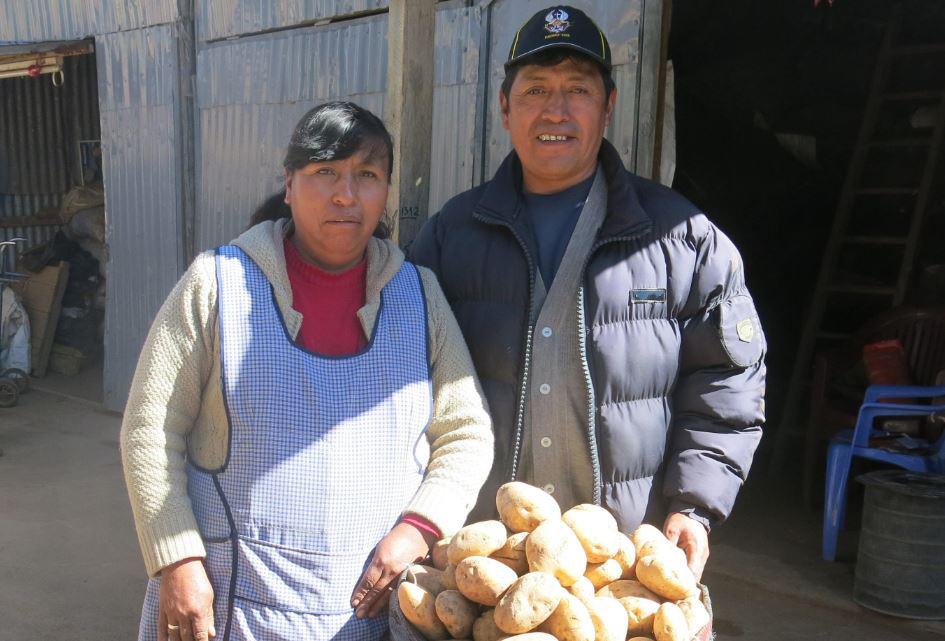 El próspero negocio de la papa en Juliaca