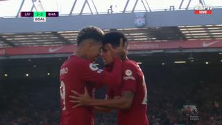 Liverpool vs. Brighton: Firmino empató y un autogol de Webster colocó el 3-2 de los ‘Reds’ (VIDEO)