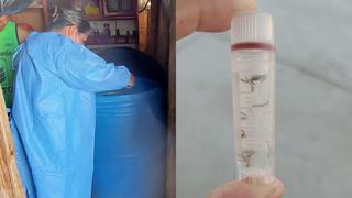 Áncash: Aumentan a 16 los casos de dengue en el distrito de Nepeña