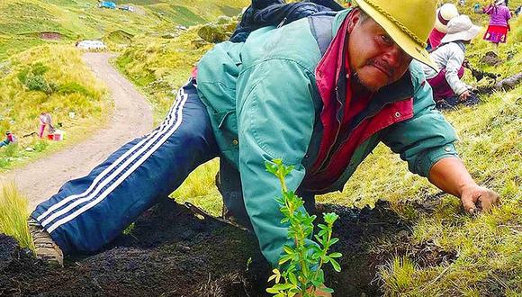 Proyecto Bosques Manejados de Apurímac participa en premio de Buenas Prácticas en Gestión Pública 2019