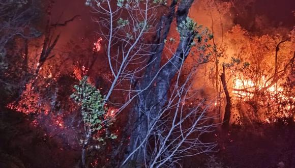 Incendio consume varias hectáreas de bosque del cerro Aypate en la provincia de Ayabaca