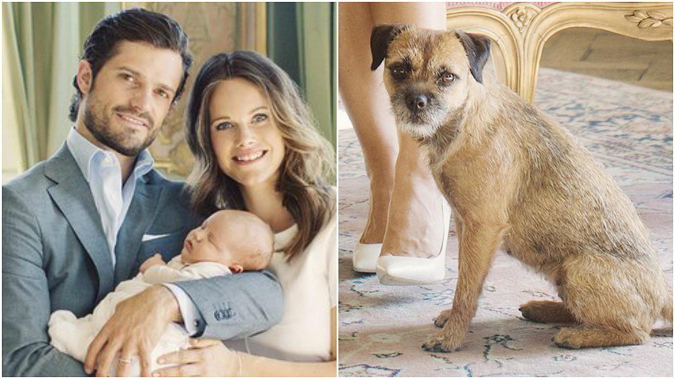 Príncipes de Suecia adoptan un perro e imagen se hace viral [FOTOS]
