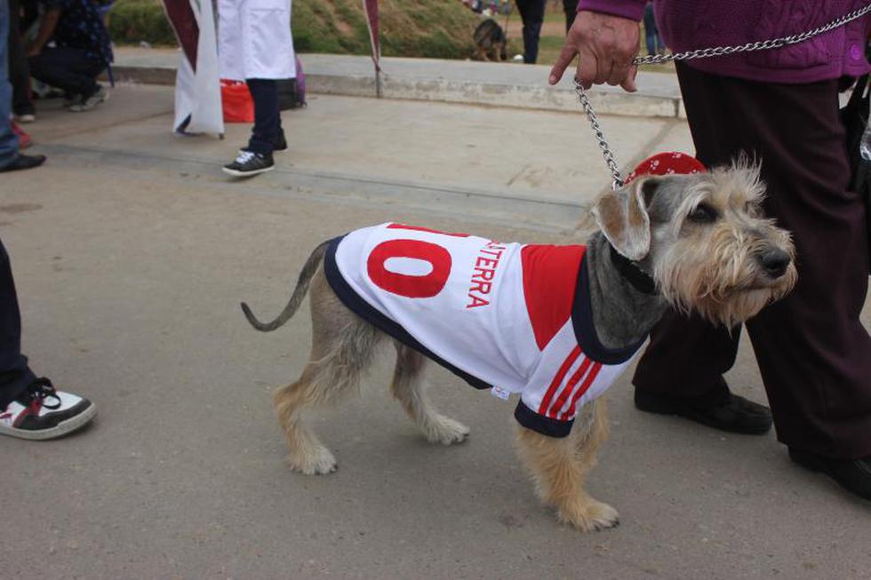 Una competencia  llena de 'amores perros' (FOTOS)