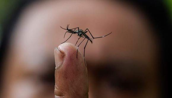 Crean sistema que detecta el dengue en 20 minutos