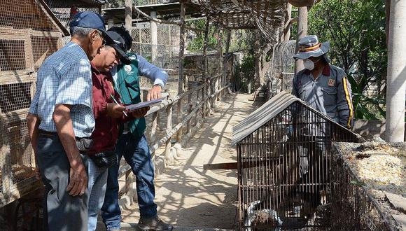Tacna: Declaran en cuarentena a animales de zoológico municipal 