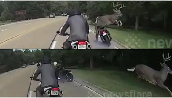 Youtube: venado empuja a un motociclista en Estados Unidos