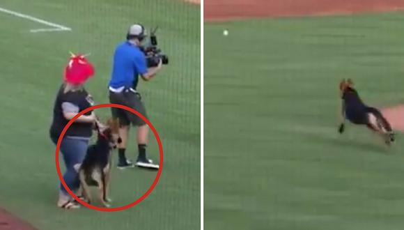 Perro ingresó a cancha de béisbol y se robó la bola en pleno partido (VIDEO)