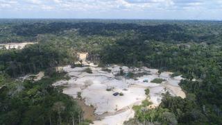 Medio ambiente: autoridades y activistas analizan medidas para detener la deforestación en la Amazonía 