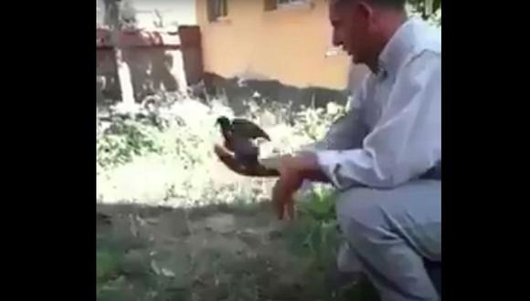 YouTube: Cuidó a una paloma y al momento de echarla a volar ocurrió una tragedia
