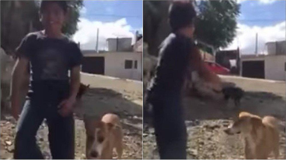 ​Niño junto a su perrito cautivan a usuarios al bailar 'Scooby Doo PaPa' (VIDEO)