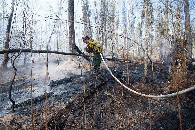 ​Canadá: Incendio forestal sigue creciendo y ya cubre 230.000 hectáreas