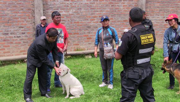 Serenos de Huancayo enseñan cómo entrenar a tu perro (VIDEO)