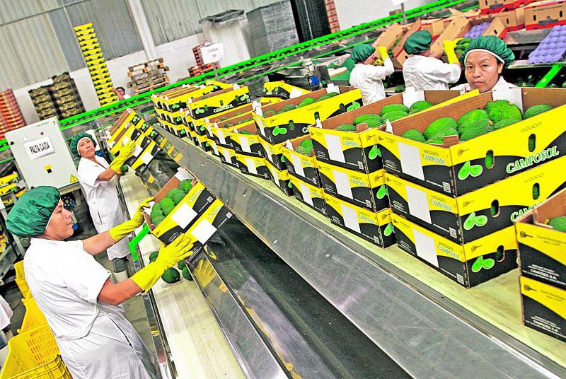 Las exportaciones no tradicionales suben 9%