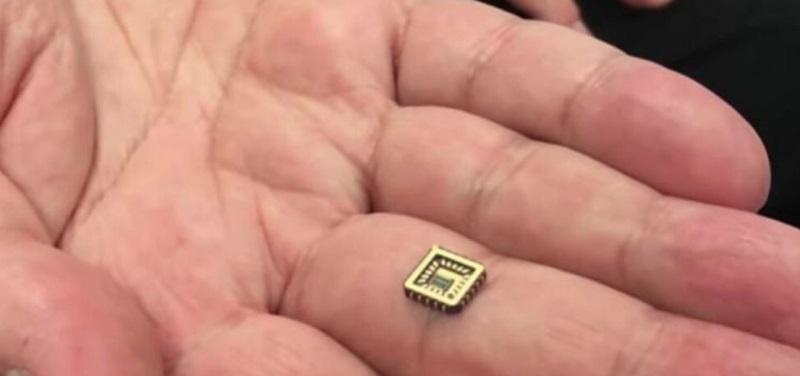 Neurona chip (Foto: Difusión)