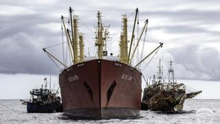 Ecuador pide ayuda a Perú, Colombia y Chile por flotas chinas de pesca ilegal en su archipiélago