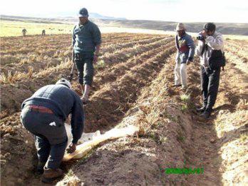 Cusco: Proyectos de cosecha de aguas cubrirá más de 2 mil hectáreas de cultivo