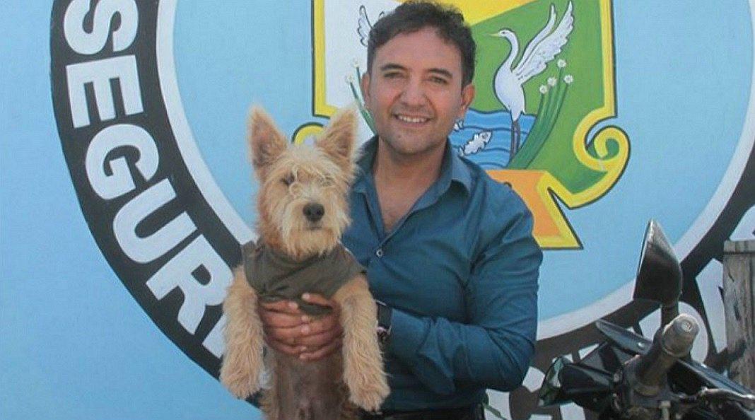 Nuevo Chimbote: Tendrá el primer albergue municipal para canes y felinos 