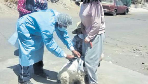 Cerro Colorado, Yura, Cayma y Majes con mayor cantidad de casos. Inmunizan canes de la parte alta de Paucarpata. (Foto: Difusión)