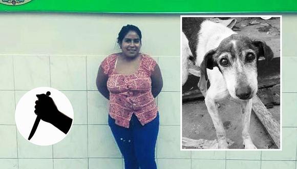 Una vendedora de comida es detenida por matar a un perro con un cuchillo 