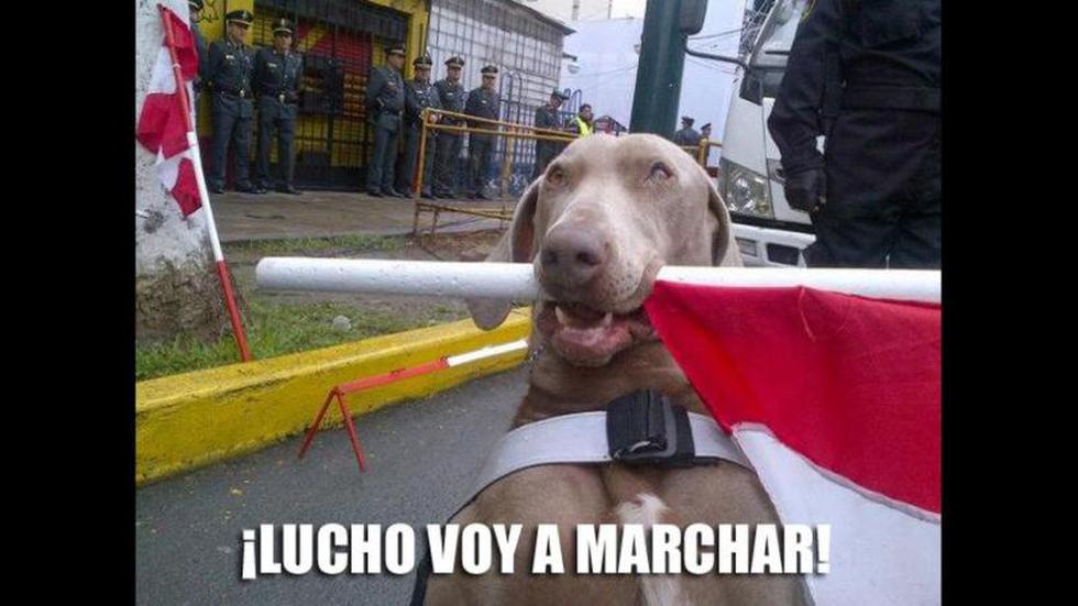 Crean 'memes' de la Gran Parada Militar (FOTOS)