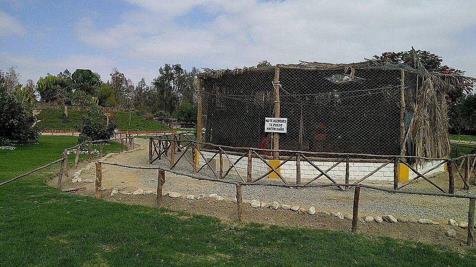 Bosque municipal no cuenta con su terreno saneado 