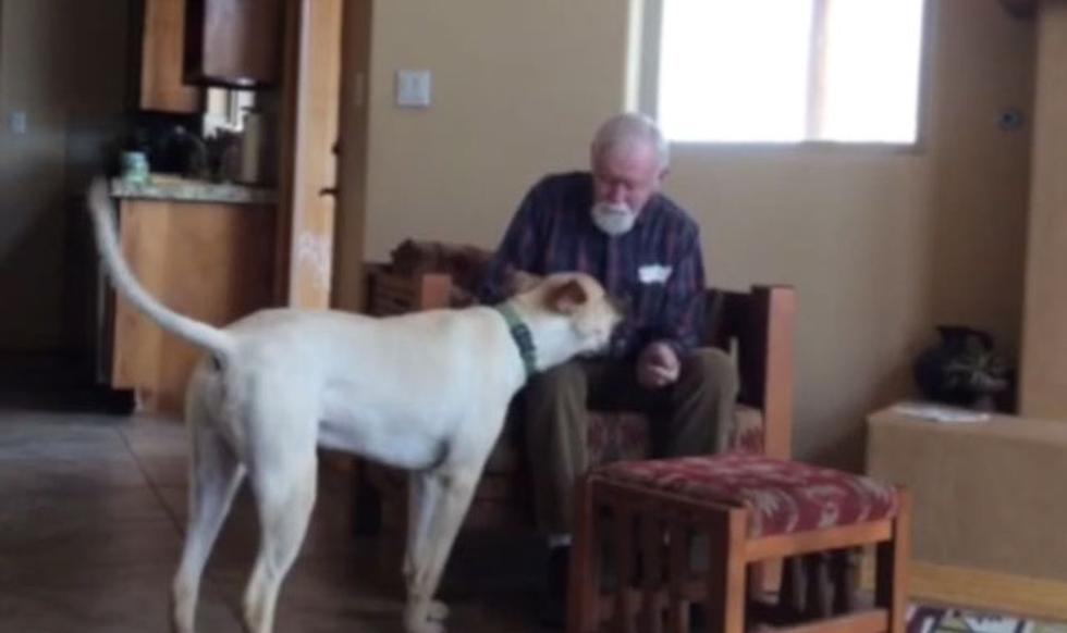 Anciano con Alzheimer muestra gran recuperación gracias a su perro