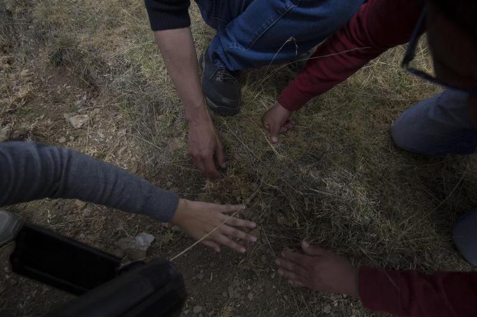 ¿Cómo se realiza un pago a la tierra?