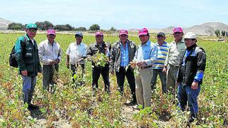 Empadronamiento para agricultores de la región Ica comienza el lunes 6 de setiembre