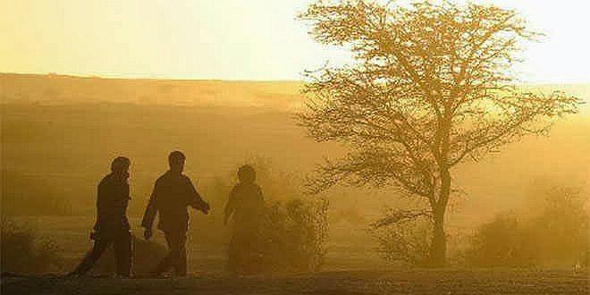 Ocho inmigrantes mueren de sed en el desierto 