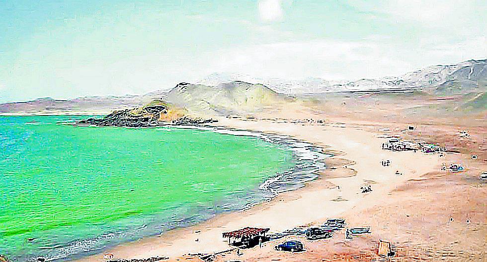 La Gramita y Tortugas son sensación en 2020 