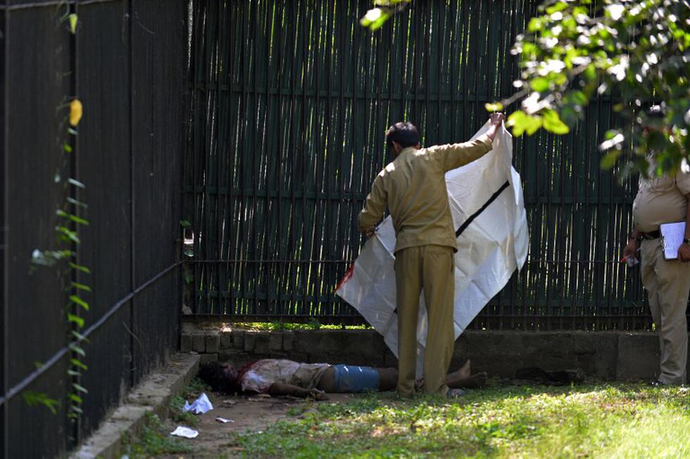 Difunden imágenes del ataque de tigre que dejó un niño muerto