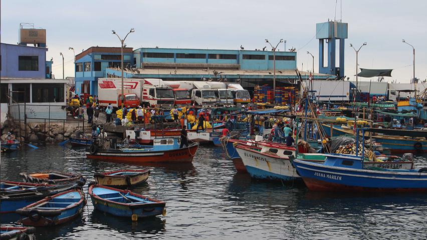 Ilo: Anuncian el reinicio de obras en desembarcadero