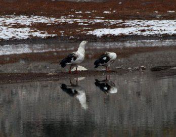 Fuente de turismo, aventura y biodiversidad