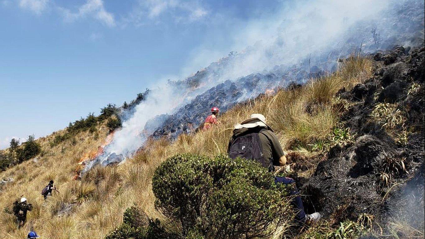 Apurímac: incendio forestal en Santuario Nacional de Ampay fue controlado en un 95%