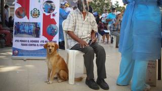 Adulto mayor enternece al acudir junto a su perrito a vacunarse contra la COVID-19 en Piura